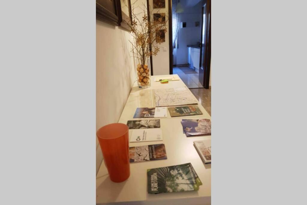 Appartamento Al Bo بادوفا المظهر الخارجي الصورة